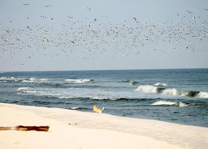 White Pearl 3.07 Apartment *